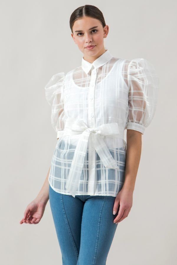 A See-thru Mini Length Organza Top - ThingsWeUseAndLove 