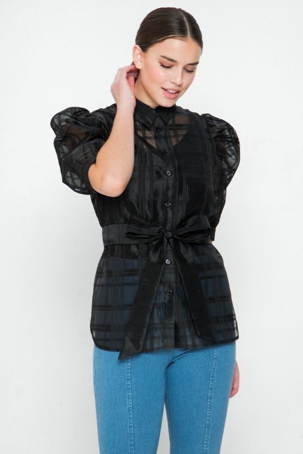 A See-thru Mini Length Organza Top - ThingsWeUseAndLove 