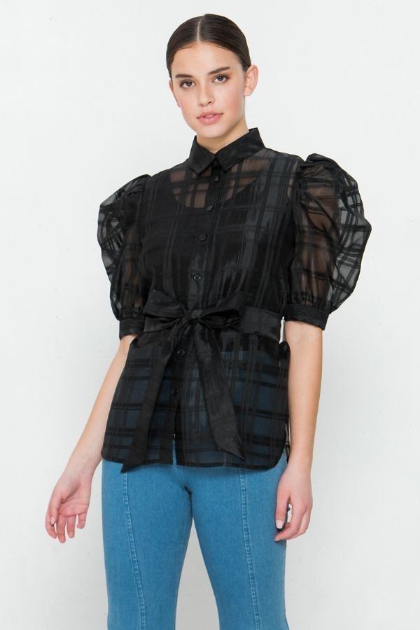 A See-thru Mini Length Organza Top - ThingsWeUseAndLove 