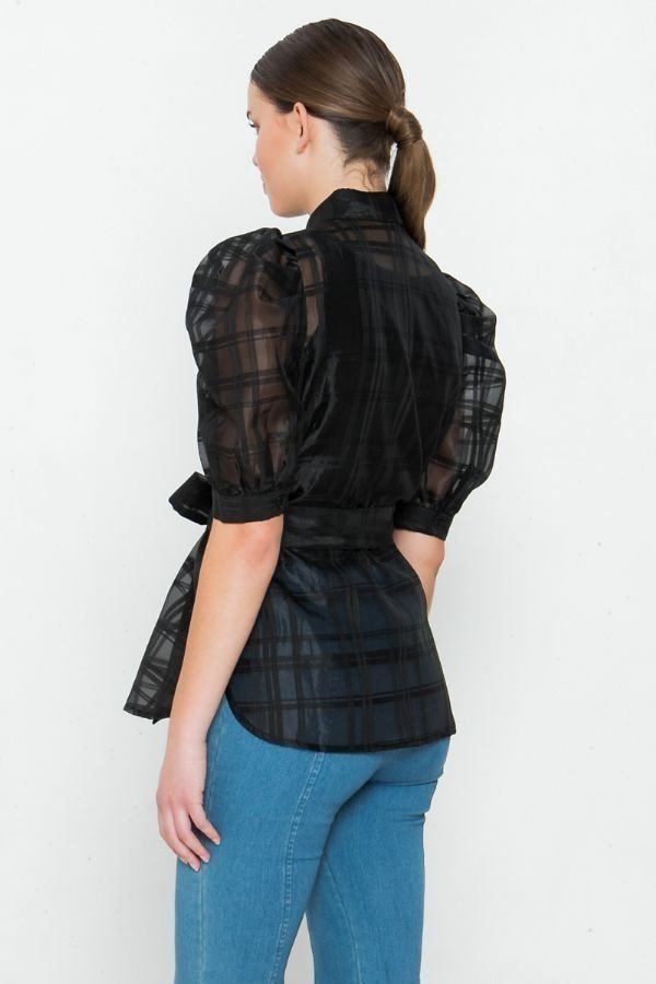 A See-thru Mini Length Organza Top - ThingsWeUseAndLove 