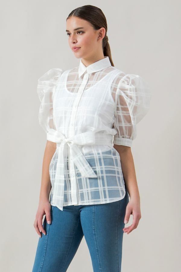 A See-thru Mini Length Organza Top - ThingsWeUseAndLove 