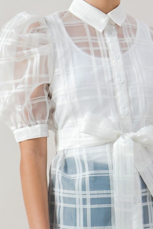 A See-thru Mini Length Organza Top - ThingsWeUseAndLove 