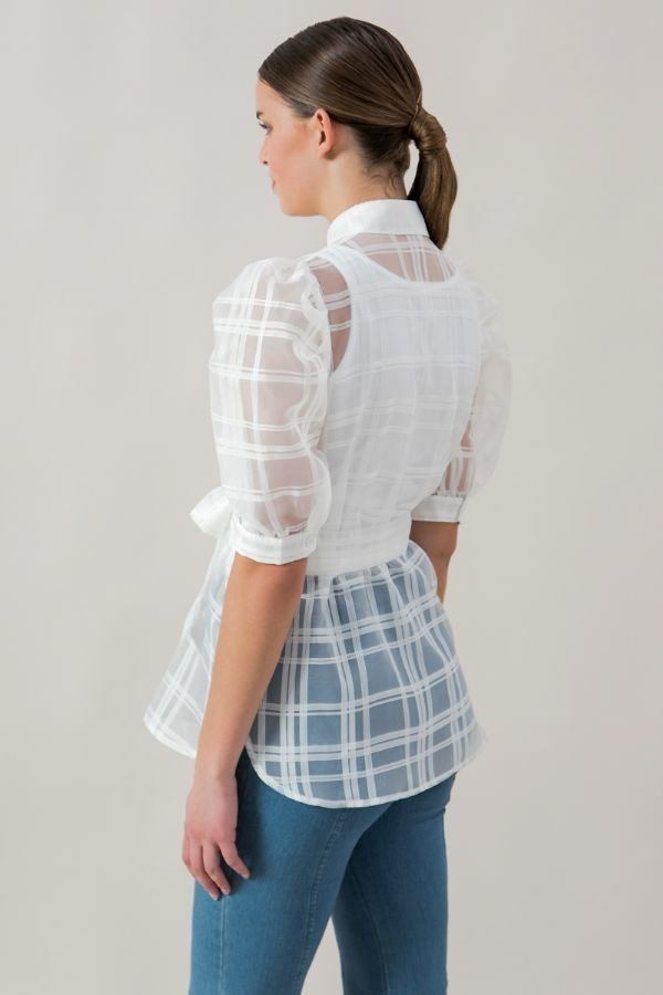 A See-thru Mini Length Organza Top - ThingsWeUseAndLove 