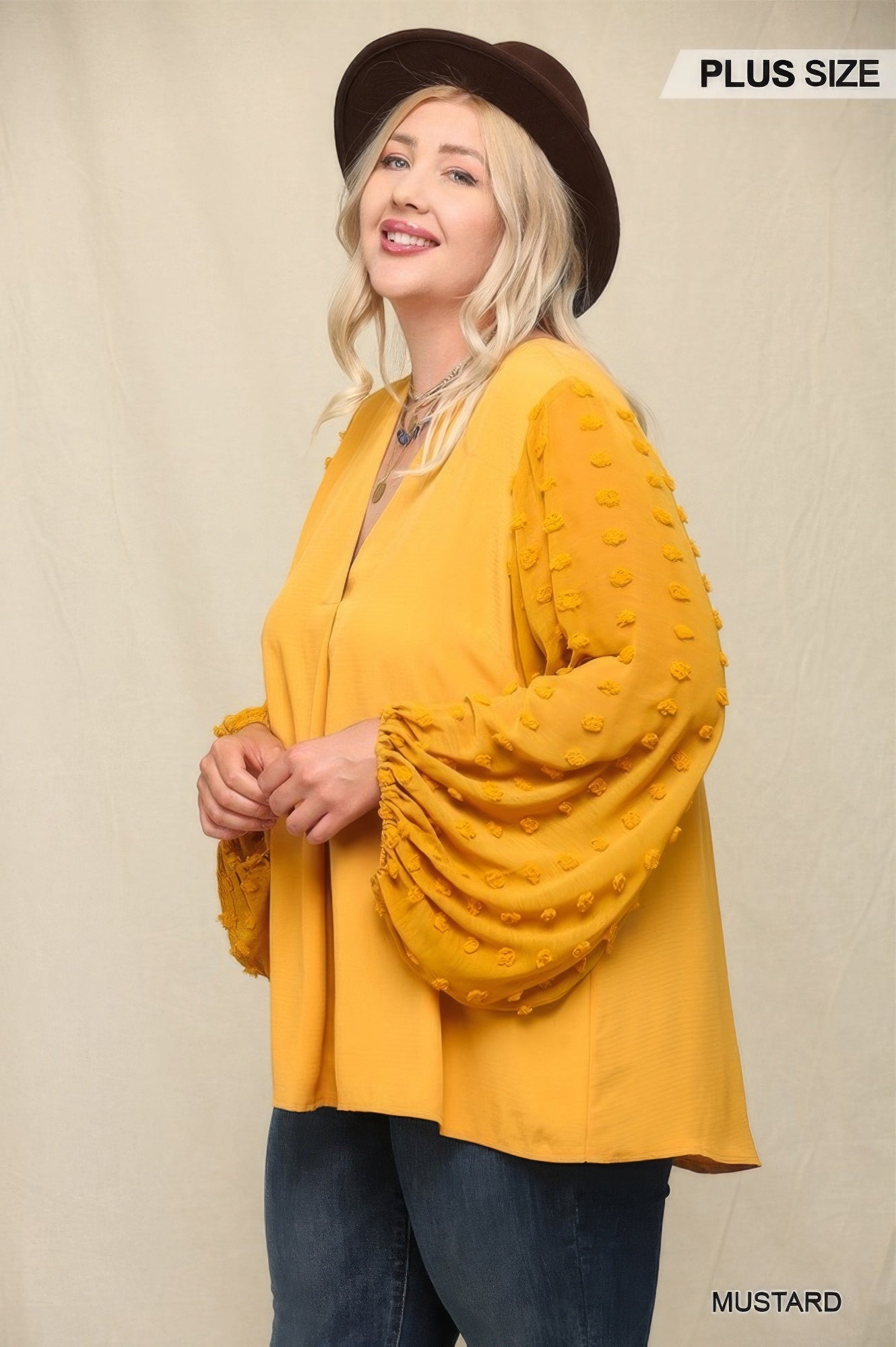 Woven And Textured Chiffon Top With Voluminous Sheer Sleeves - ThingsWeUseAndLove 