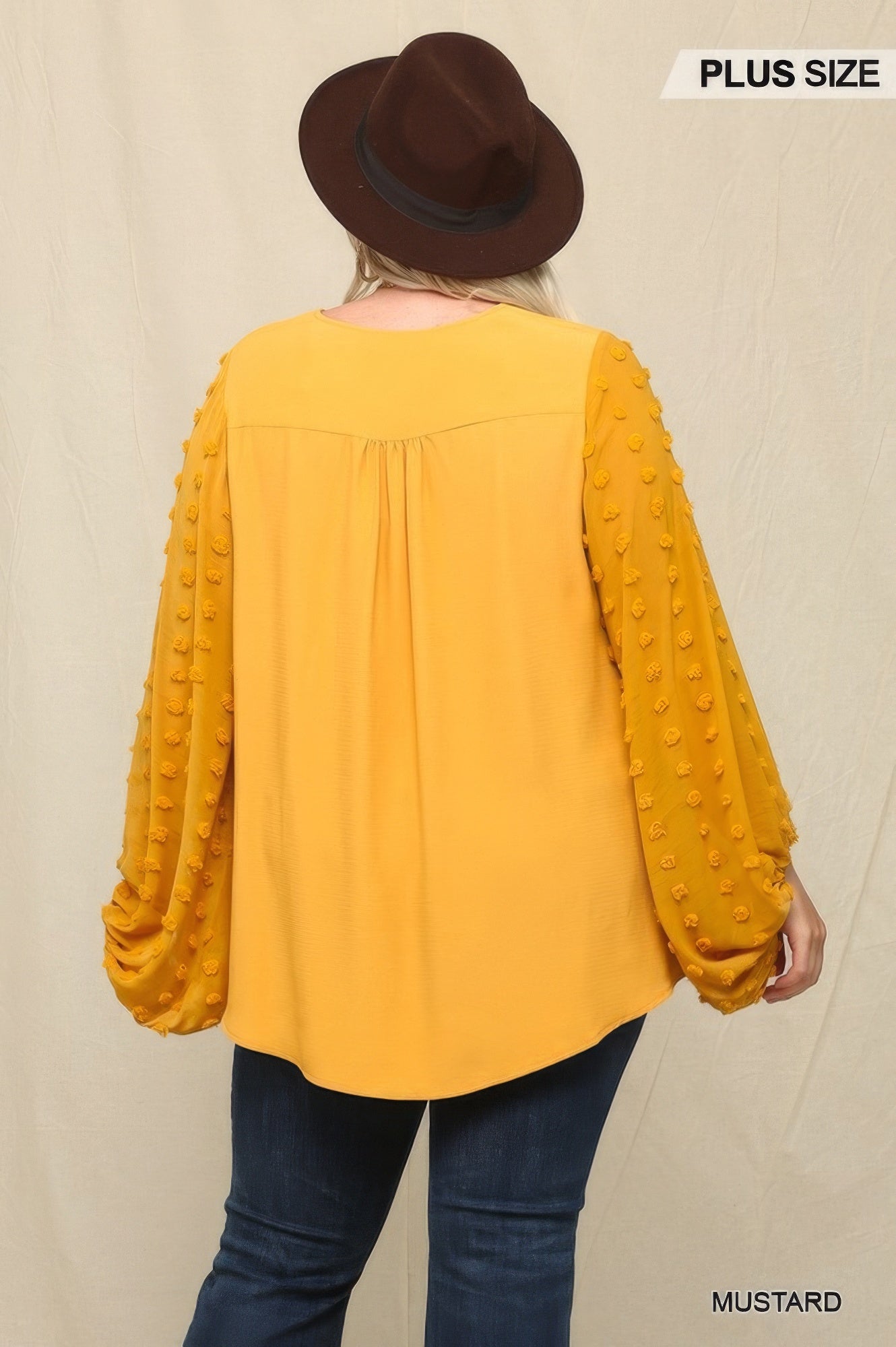 Woven And Textured Chiffon Top With Voluminous Sheer Sleeves - ThingsWeUseAndLove 