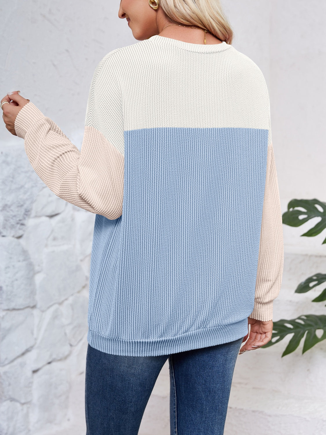 Ursina Color Block Round Neck Long Sleeve Sweatshirt - ThingsWeUseAndLove 